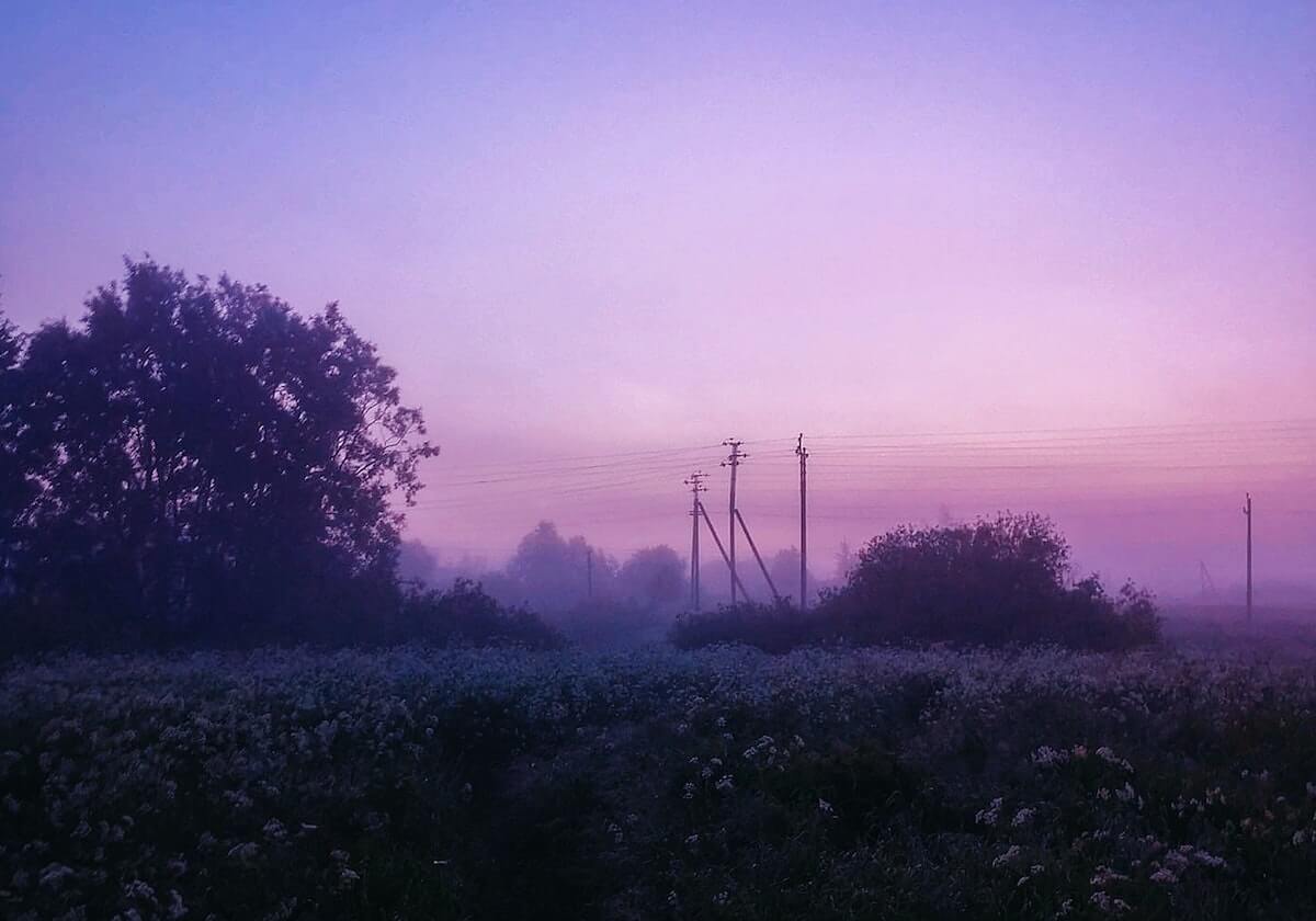 五大联赛冠军分析：德甲意甲无悬念，英超西甲法甲都是二选一